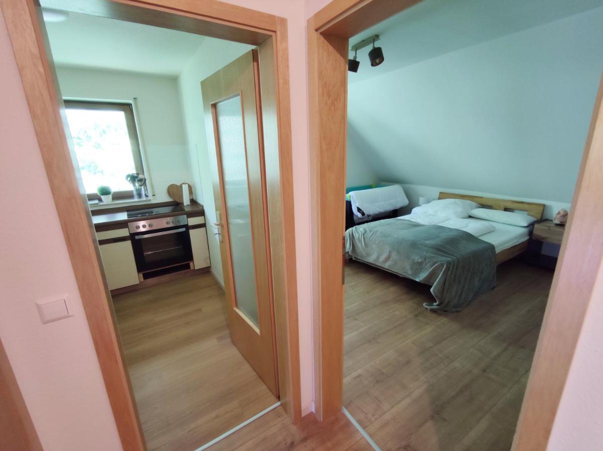 Black Forest Living - Todtnauberg Apartment Bagian luar foto