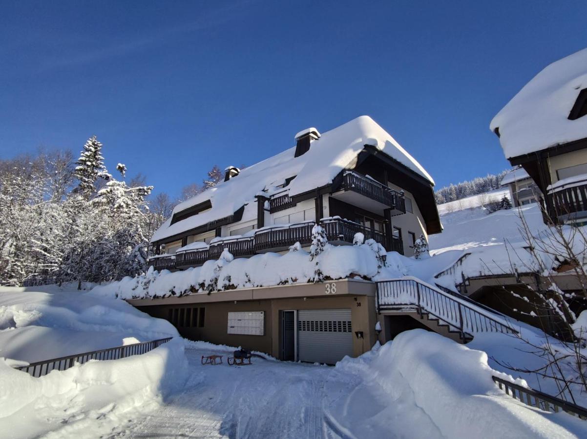 Black Forest Living - Todtnauberg Apartment Bagian luar foto