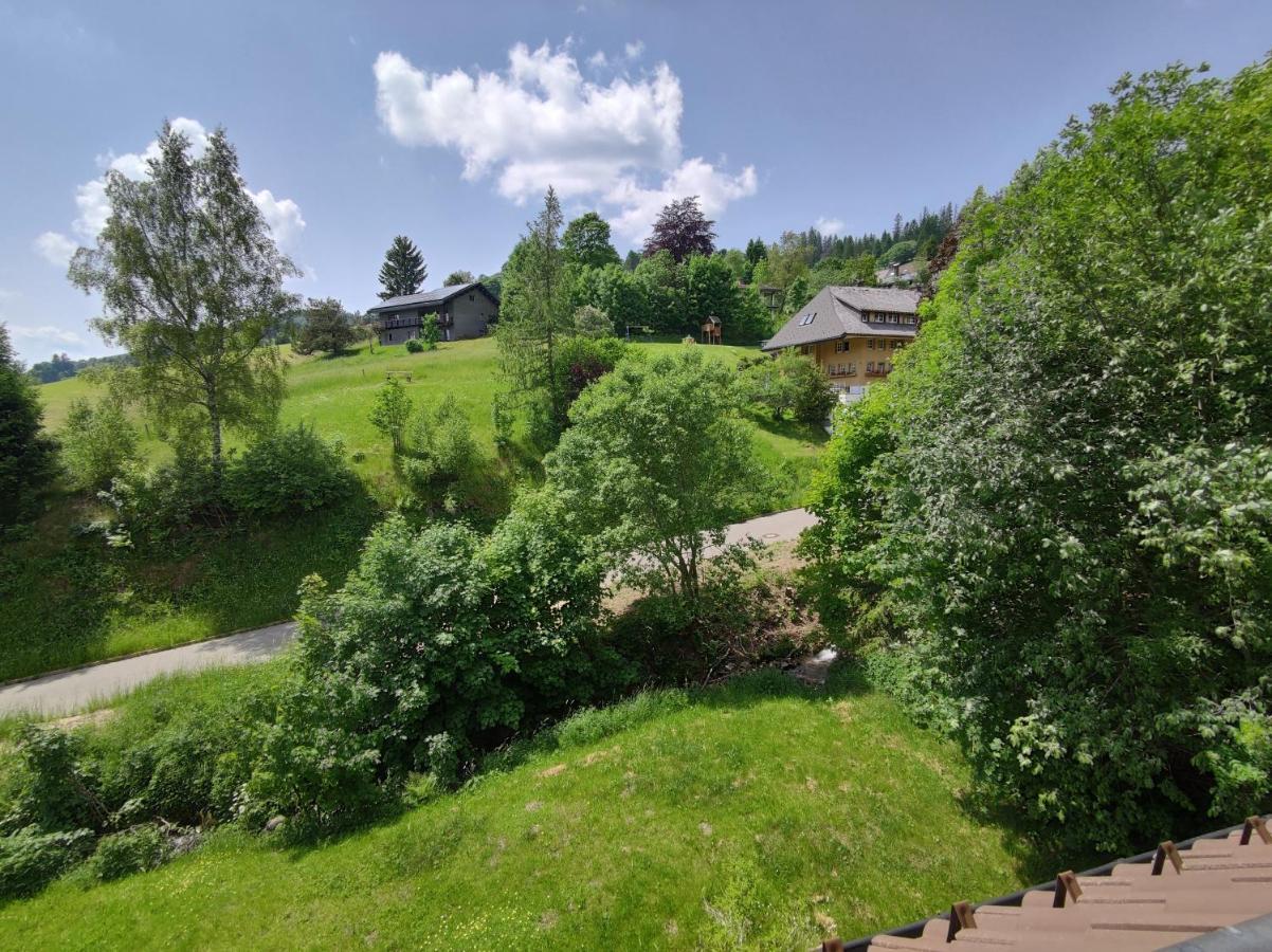Black Forest Living - Todtnauberg Apartment Bagian luar foto
