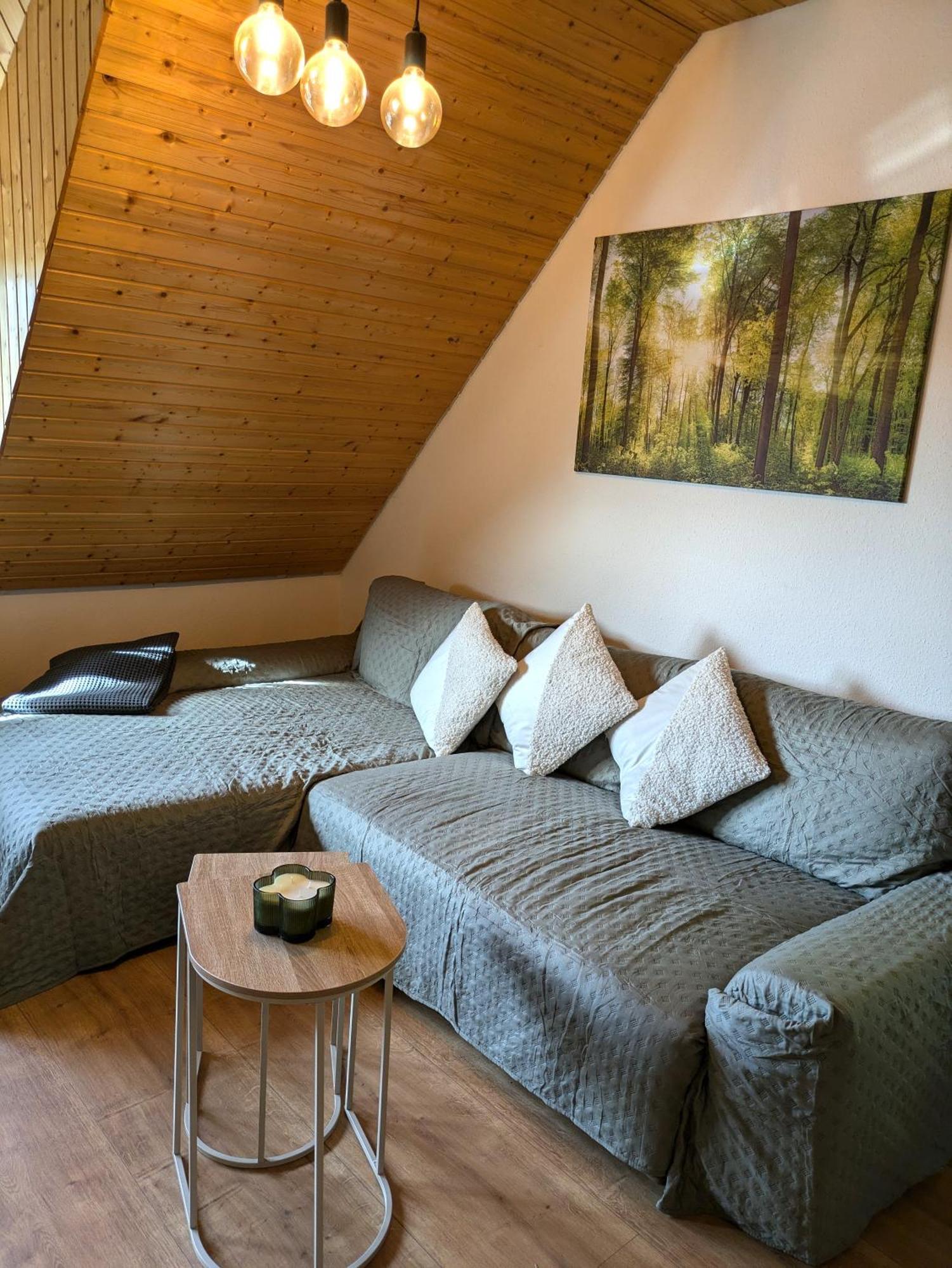Black Forest Living - Todtnauberg Apartment Bagian luar foto